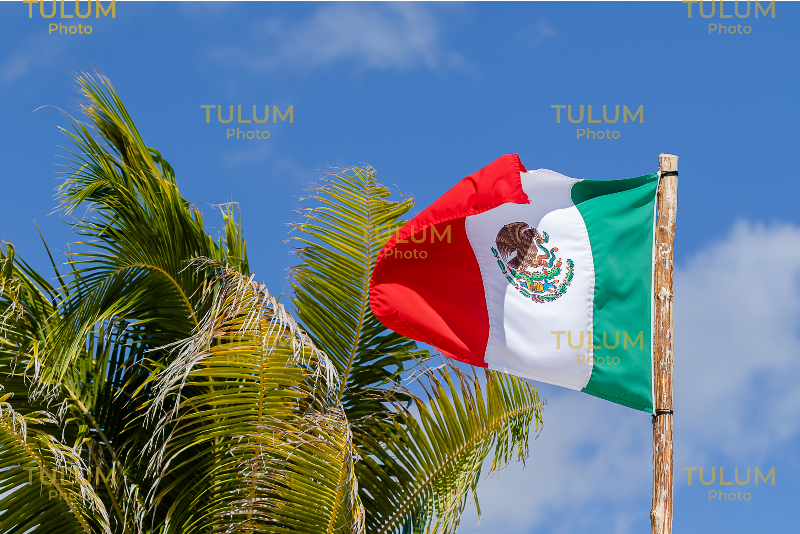 Tulum photographer
Photographer in Tulum
Tulum photography
Tulum photo shoot
Tulum photography packages
Tulum wedding photographer
Tulum elopement photographer
Tulum engagement photographer
Tulum proposal photographer
Tulum couple photoshoot
Romantic photoshoot in Tulum
Vacation photographer Tulum
Tulum family photographer
Solo photoshoot in Tulum
Bachelorette party photoshoot Tulum
Tulum Instagram photoshoot
Tulum content creator photographer